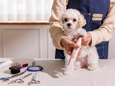실무 중심 기술교육 이미지