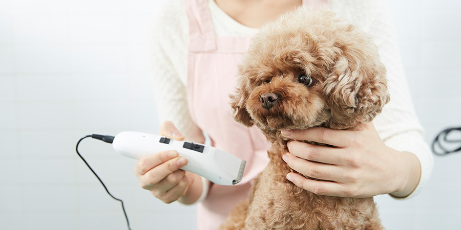 오픈미용실 이미지