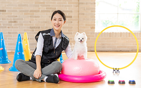 교육 노하우 이미지