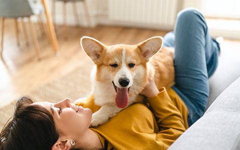 동반주택 개발을 위한 노하우 이미지