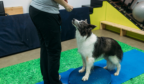 체계적인 시스템 이미지