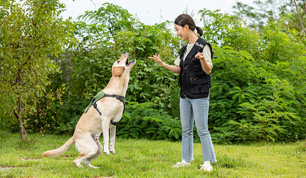 검증된 교육 프로그램 이미지