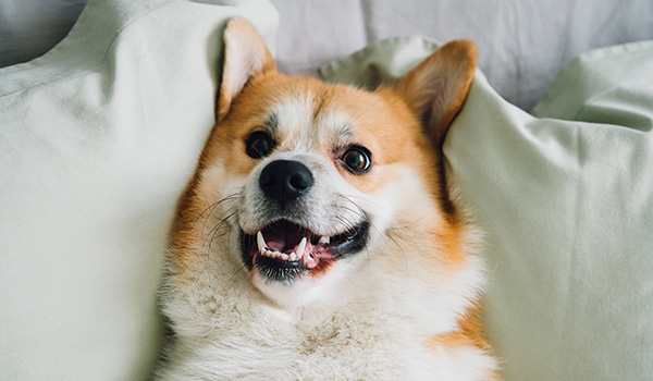 최적의 환경 유지 이미지