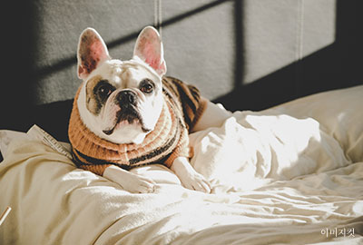 10F 세부 이미지 1