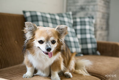 10F 세부 이미지 3