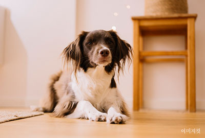 3F 세부 이미지 1