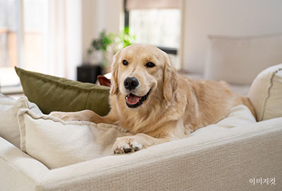 3F 세부 이미지 3