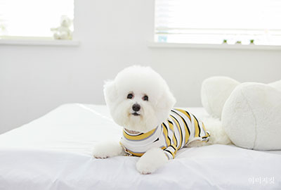 4~9F 세부 이미지 1