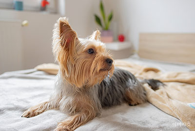 4~9F 세부 이미지 2