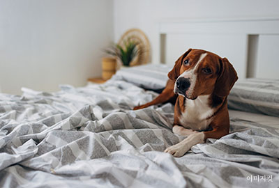 4~9F 세부 이미지 3