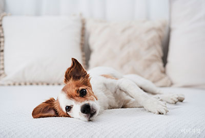 4~9F 세부 이미지 4