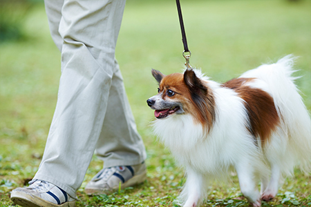 산책 코스 전경 2